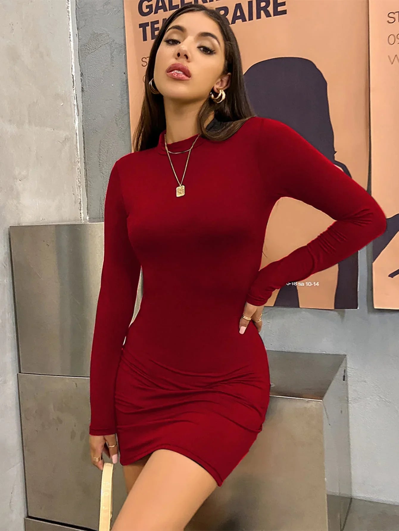 Long Sleeve Slim Mini Dress
