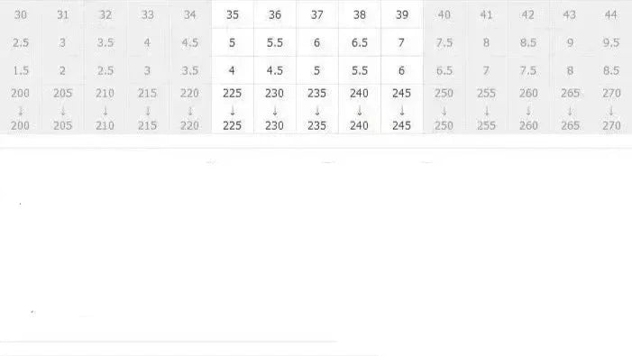 Shoe size conversion chart showing multiple international sizes and measurements for danastors fashion shop.