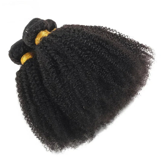 Afro Kinky Curly Bundles Human Hair Brazilian Wig