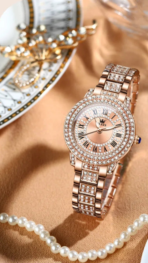 DANA Roman Dial Dazzling Diamond Watch