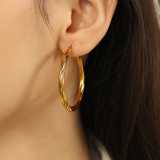 Round Hoop Stainless Steel Earrings
