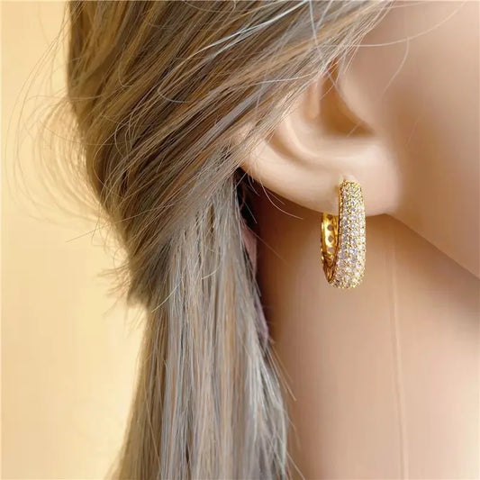 Dana Gold Color Hoop Earrings