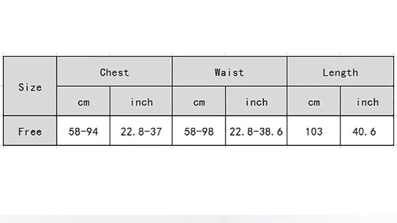 Korean Daisy Flower Print Mesh Dress