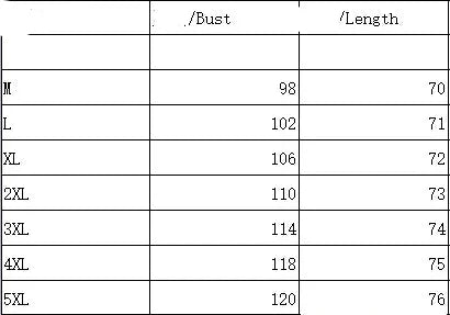 Temperament Women Shirt Loose Long Sleeve Shirt