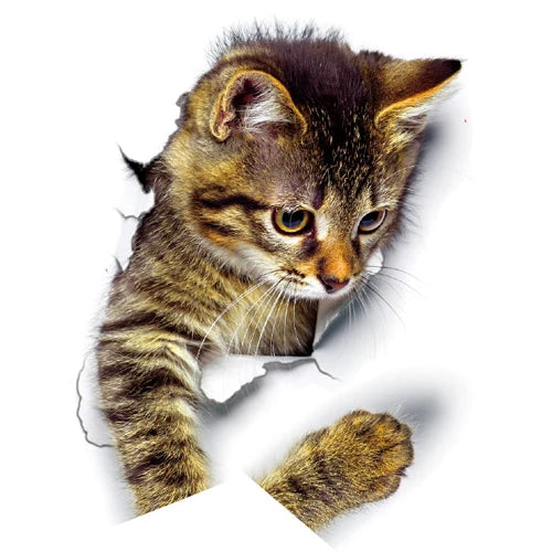 Cute Cats 3D Wall Sticker Hole View