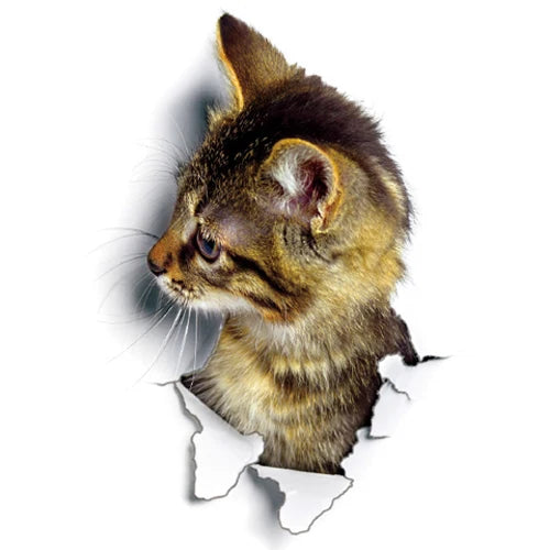 Cute Cats 3D Wall Sticker Hole View