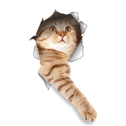 Cute Cats 3D Wall Sticker Hole View
