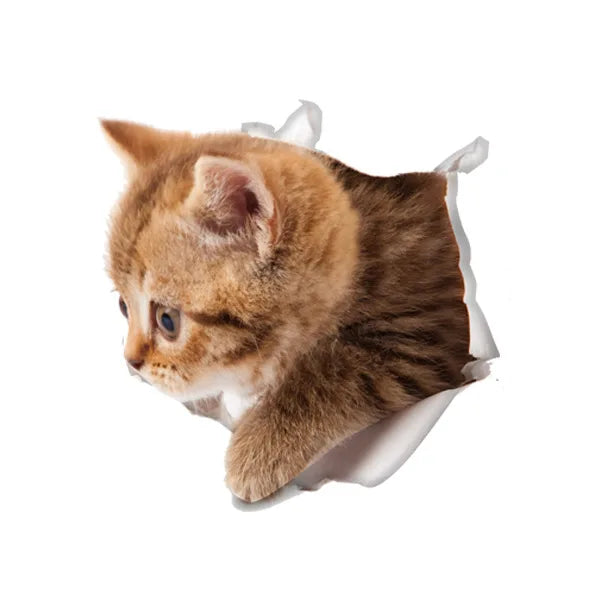 Cute Cats 3D Wall Sticker Hole View