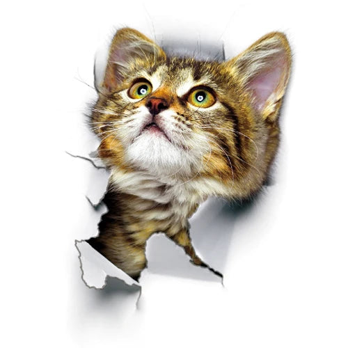 Cute Cats 3D Wall Sticker Hole View