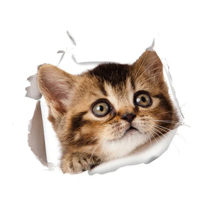 Cute Cats 3D Wall Sticker Hole View