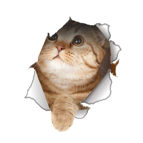 Cute Cats 3D Wall Sticker Hole View