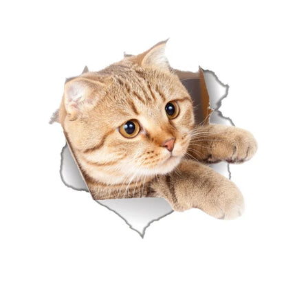 Cute Cats 3D Wall Sticker Hole View