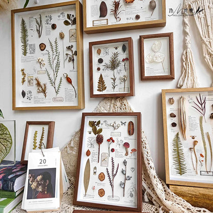 3D Photo Frame Hollow Dried Flower Specimen Holder Handmade