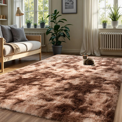 Minimalist Style Living Room Carpet Fluffy