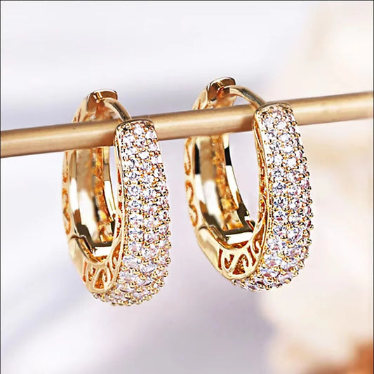 Dana Gold Color Hoop Earrings