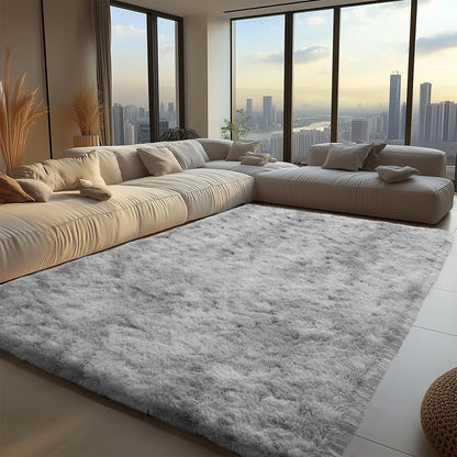 Minimalist Style Living Room Carpet Fluffy