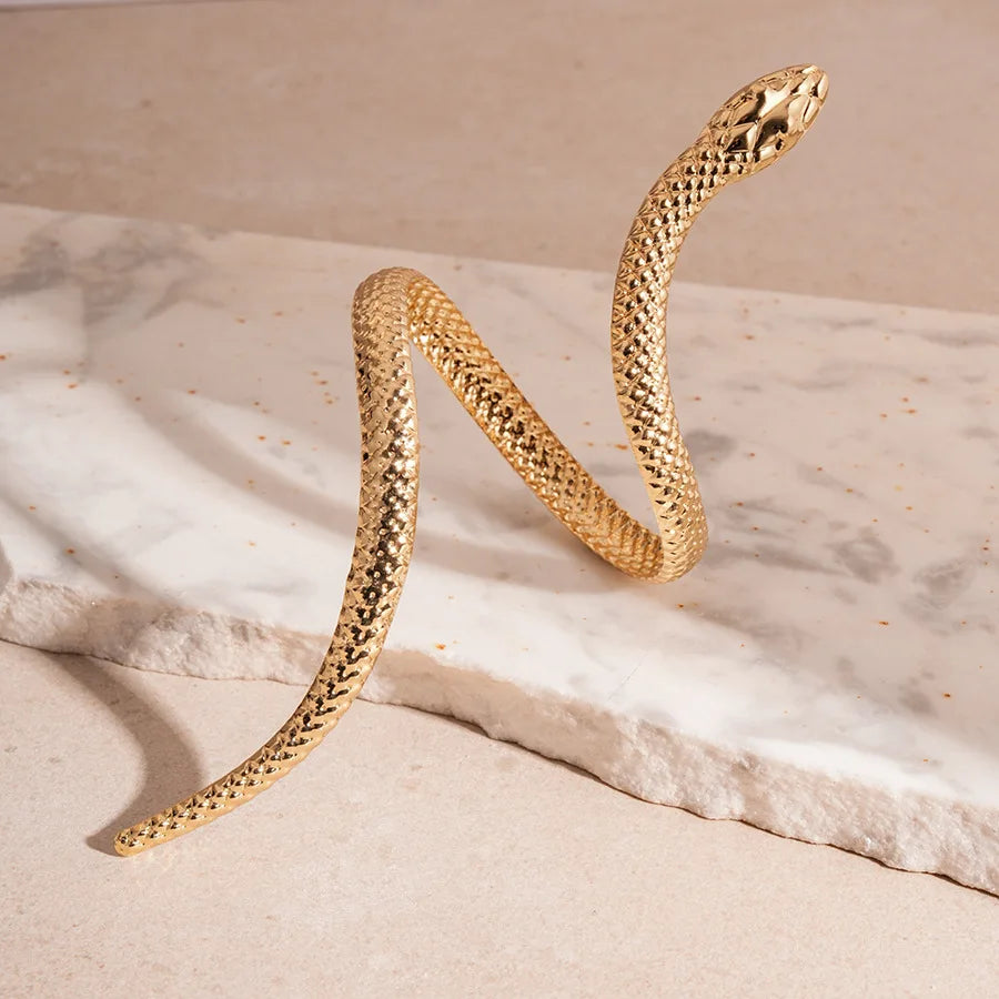 Snake Shaped Cuff Bracelet Ring Set