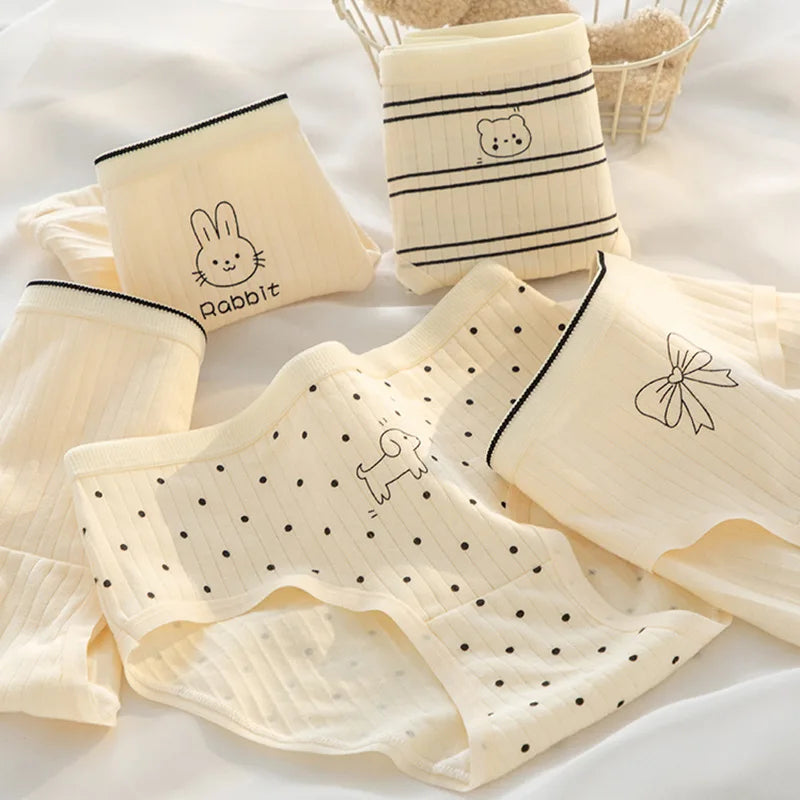 5Pcs/Lot Cotton Sexy Mid-Rise Lingerie