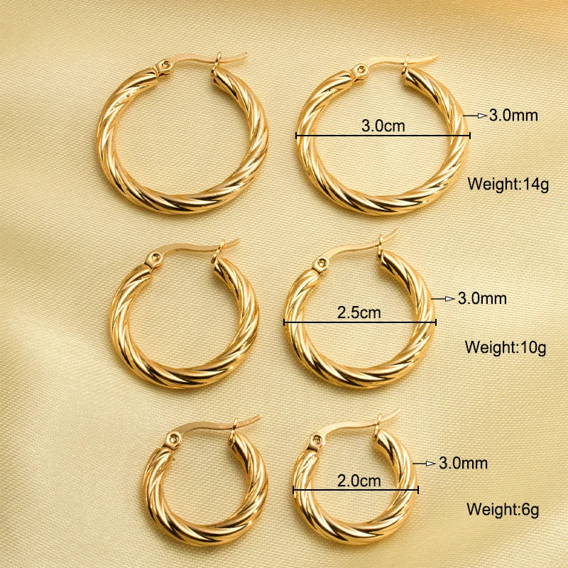 Round Hoop Stainless Steel Earrings