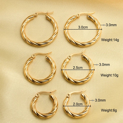 Round Hoop Stainless Steel Earrings