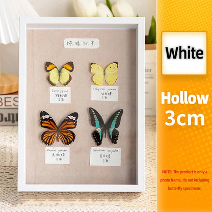 3D Photo Frame Hollow Dried Flower Specimen Holder Handmade