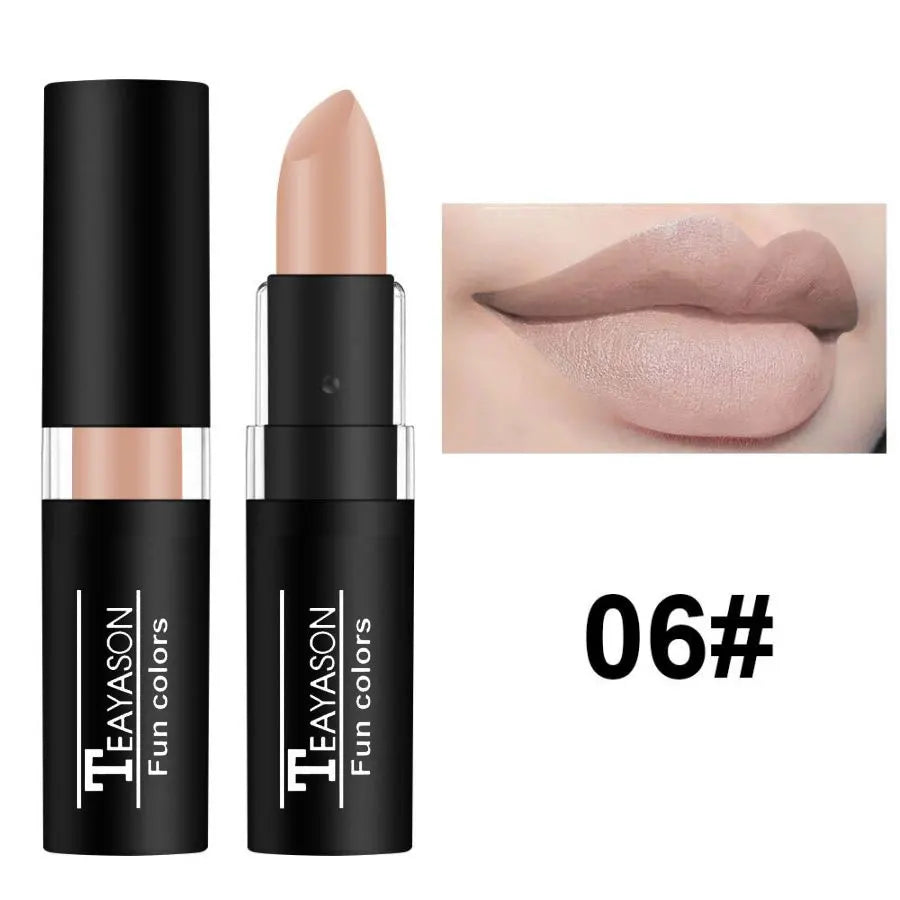 Waterproof Lasting Sexy Red Lipstick Matte Lipstick