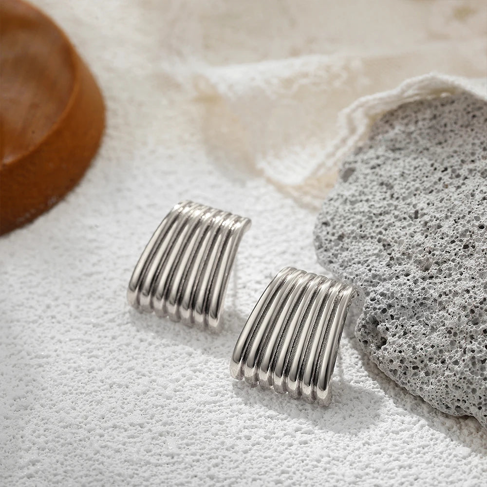 DANA Gold Color Stainless Steel Earring