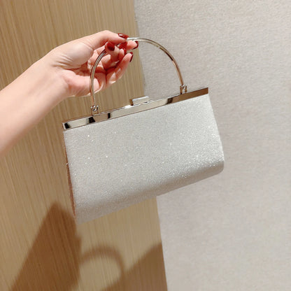 Classic Pleated Evening Bag Handbag