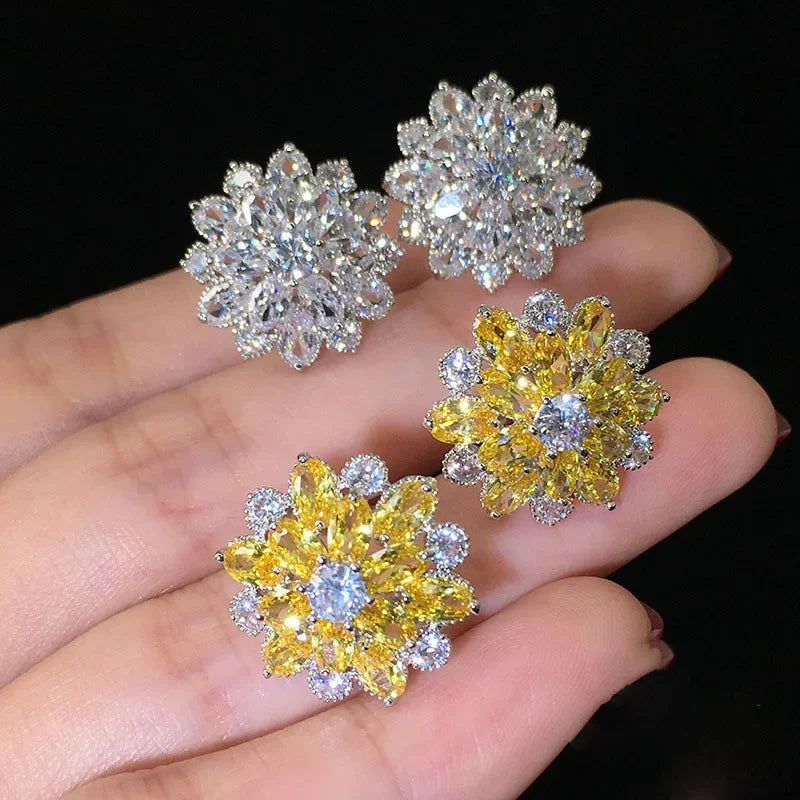 DANA Cute Big Bling Cubic Zirconia Earrings