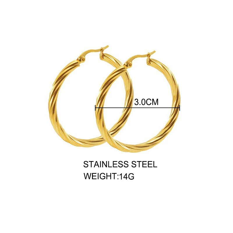 Round Hoop Stainless Steel Earrings