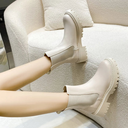 Winter Thick-soled Short Boots