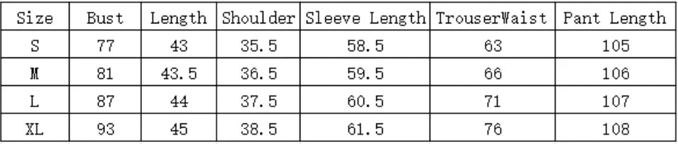 Elegant Loose Pants Suit Casual Sets