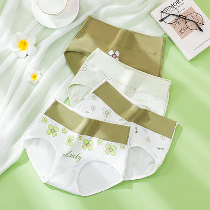 4PCS High Waist Cotton Underpants Plus Size Lingerie