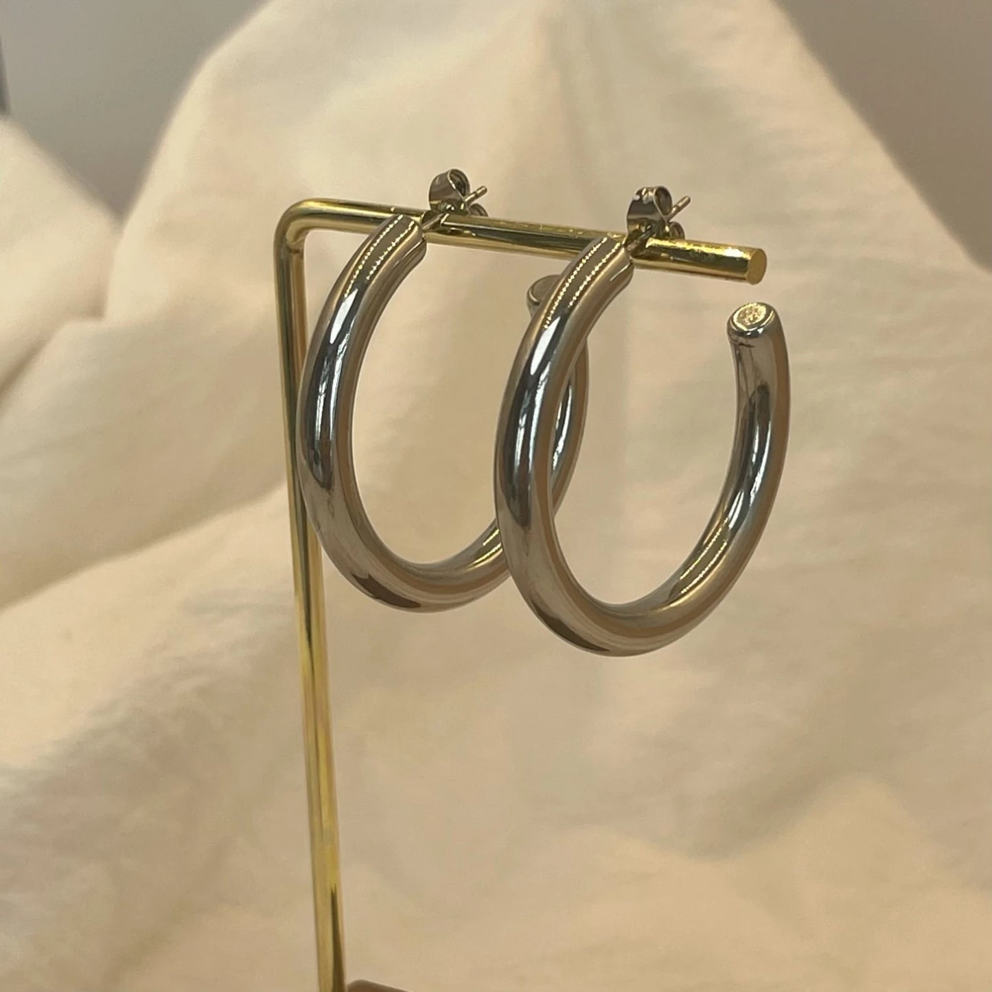 DANA Stainless Steel Buckle Big Earrings