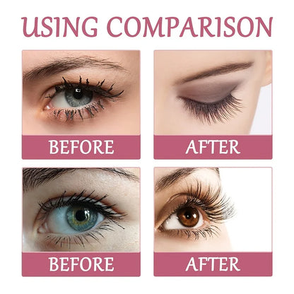 Curved Eyelash Brush Tool Accessory