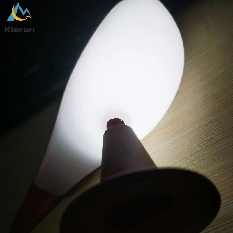 Nordic Modern Magpie Led Desk Light Bedroom Study Bedside Lamp