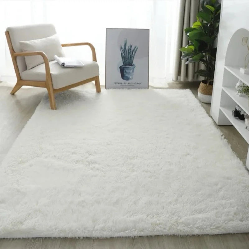 Luxury Long Velvet Carpet Soft Anti slip Home Decoration Carpet
