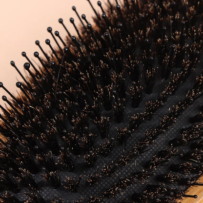 Boar Bristle Hair Brush