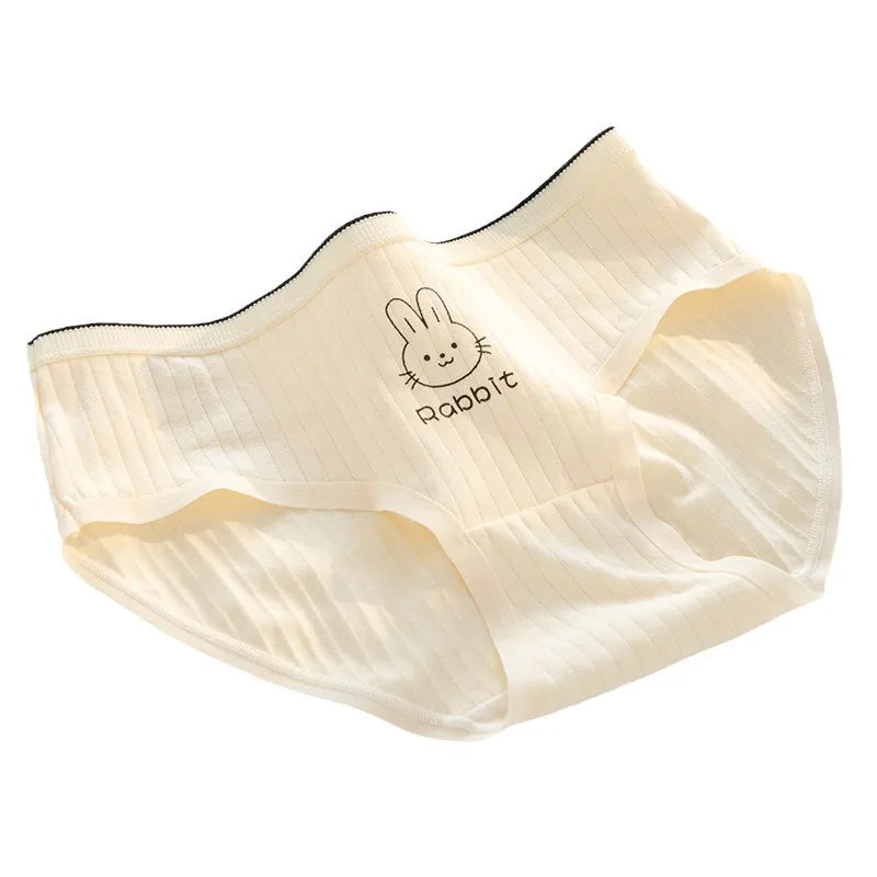 5Pcs/Lot Cotton Sexy Mid-Rise Lingerie