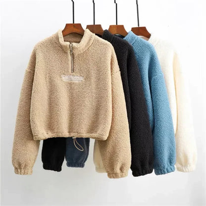 Letter Embroidery Stand Neck Fleece Long Sleeve Pullover