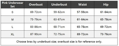 Lace Bra Underwear Lingerie Sexy