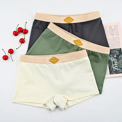 3PCS/Pack 100% Cotton Boxer Mid-rise Thin Lingerie