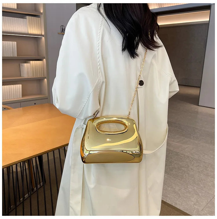 DANA Golden Acrylic Hobo Bags