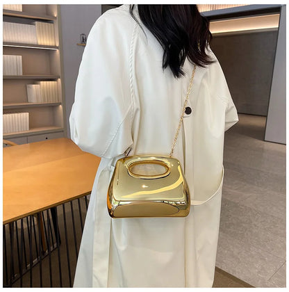 DANA Golden Acrylic Hobo Bags