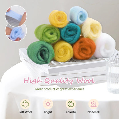 CHENISTORY Diy Poke Wool Felt Animals Cat Wool Needle Felt Set