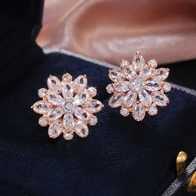 DANA Cute Big Bling Cubic Zirconia Earrings