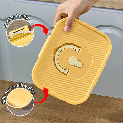Microwave Plastic Divided Lunch Box With Handle Camping