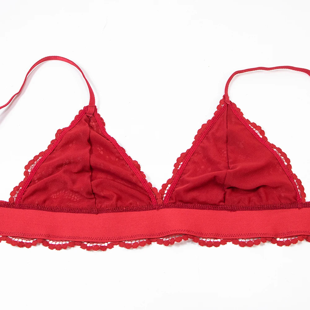 Lace Bra Underwear Lingerie Sexy