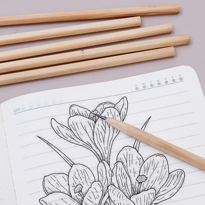 HB Natural Hexagon Wooden Lead Pencils Student Stationary