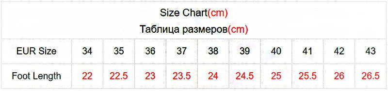 High Heels Mary Jane Chunky Shoes